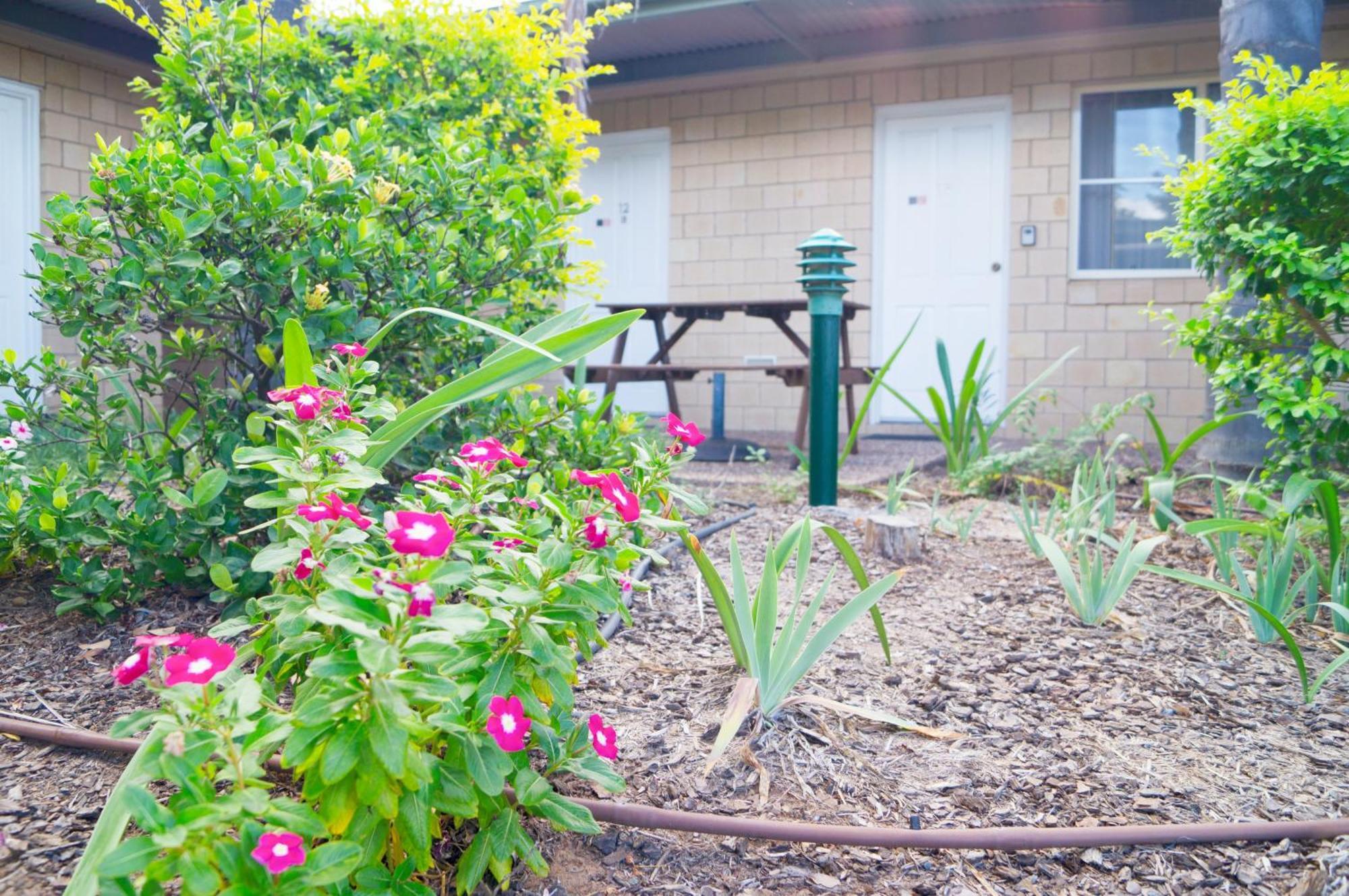 Jacaranda Country Motel Saint George Exteriér fotografie